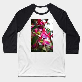 Flowering Fuchsia Baseball T-Shirt